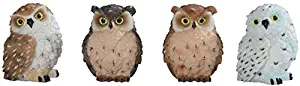 Best Owls For Home Decor