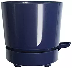 Best Garden Pots 6 Inch