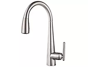 Best Pfister Kitchen Sink Sprayer Nozzle