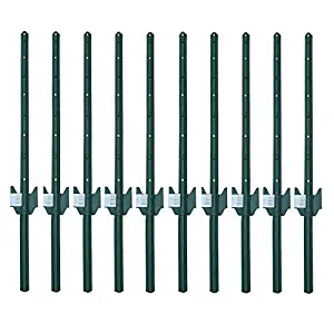 Best 3′ Garden Stakes