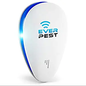 Best Flea Bombs For Home Pet Safe