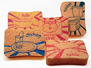 Best Skura Style Sponges Kitchen