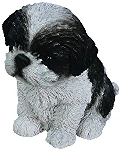 Best Shih Tzu Home Decor