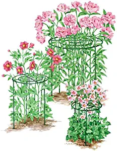 Best 18 Inch Garden Stakes