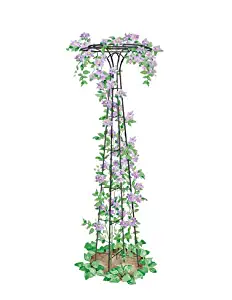 Best Essex Round Garden Trellis