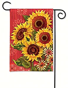 Best Barn Garden Flag