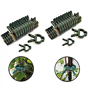 Best Garden Fence Or Trellis