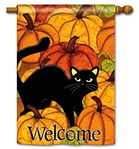 Best Orange Open Garden Flag