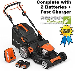 Best Lawn Mower Gas Powered Self Propelled