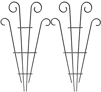 Best Free Standing Garden Trellis For Climbing Plants