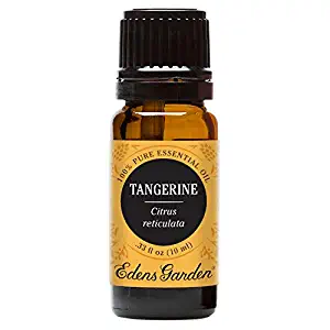 Best Edens Garden Essential Oil Holiday