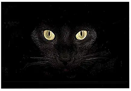 Best Cat Kitchen Mats And Rugs