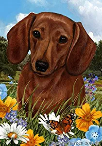 Best Dachshund Garden Flag