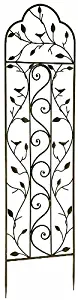Best 60 Inch Garden Trellis For Climbing Plants