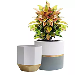Best Planters Garden Pots
