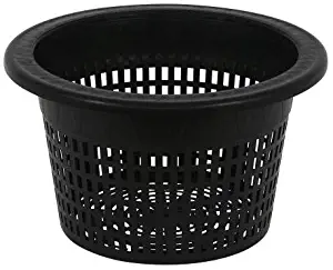 Best 5 Gal Liquid Lawn Fertilizer