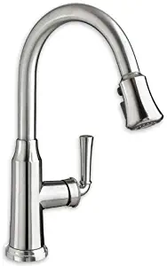 Best American Standard Stainless Steel Kitchen Faucet