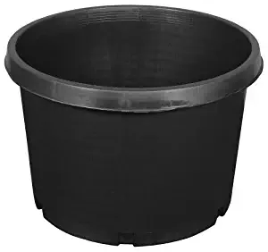 Best Plastic Garden Pots 10 Gallon
