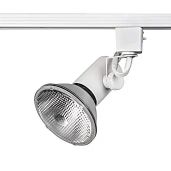 Best Track Lighting Heads Br30