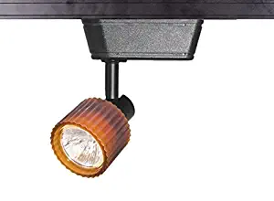 Best Wac Track Lighting Heads Low Voltage