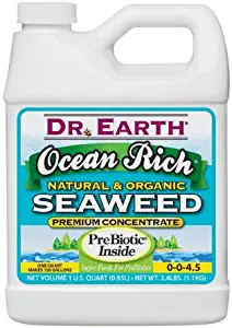 Best Liqid Lawn Fertilizer