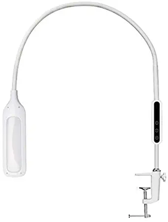 Best Clamp On Desk Lamp, White