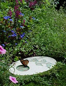 Best Butterfly Garden Mix