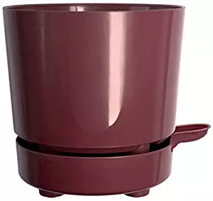 Best Miracle Grow Garden Soil