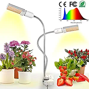 Best Led Battery Tropical Table Lamps