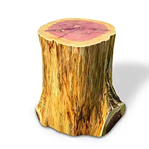 Best Tree Trunk End Table