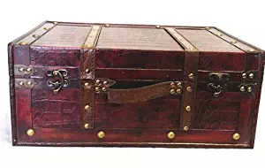 Best Modern Steamer Trunk