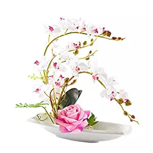 Best Orchid Centerpieces For Dining Table
