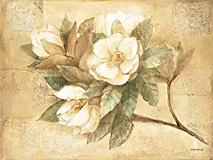 Best Hard Placemats For Dining Table