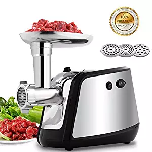 Best Ts 110 Meat Grinder
