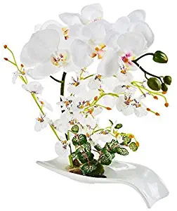 Best Spring Centerpieces For Dining Table