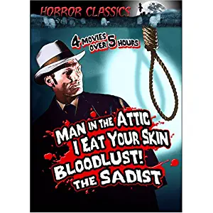 Best Echo Bridge Home Entertainment 17