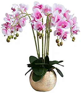 Best Artificial Plants China Cabinet