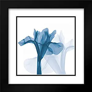 Best Blue Octave Home B51 5.1 Surround Sound Home Entertainment System