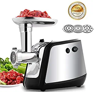 Best Ts 110 Meat Grinder