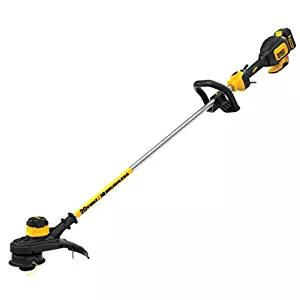 Best Dewalt Cordless Lawn Trimmer