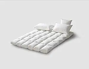 Best Down Feather Bed Mattress Topper Queen