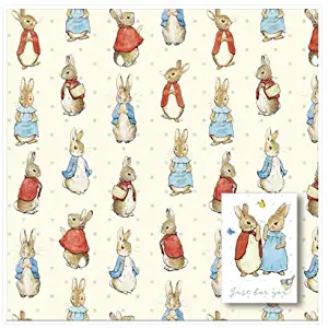 Peter Rabbit Wrapping Paper - 2 Sheets and 2 Tags Included - Cute Sheet Wrapping Paper - New Baby Gift Wrap - Kids Birthday Wrapping Paper