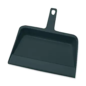 Genuine Joe GJO02406 Heavy-Duty Plastic Dust Pan, 12-inch