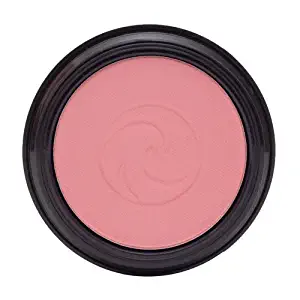 Gabriel cosmetics Blush, 0.17 Ounce,Natural, Paraben Free, Vegan, Gluten-free, Cruelty-free, Non GMO,enhanced with Sea Fennel, Full coverage, creamy and natural finish. (Willow)