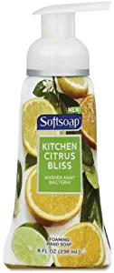 Softsoap Kitchen Citrus Bliss Foaming Liquid Hand Soap, 8 Ounce - 6 per case.