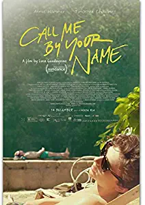 Call Me by Your Name Movie Art Poster - No Frame(24x36)