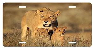 Ambesonne Safari License Plate, Mom Lioness and Young Lion Kings in South Nature Big Cats at Wilderness Safari, High Gloss Aluminum Novelty Plate, 5.88