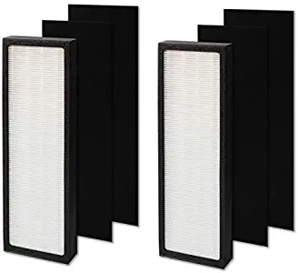 ATXKXE True HEPA Filter Repalcement for GermGuardian FLT4825 Series Air Purifier Filter B, Model AC4825/AC4300/AC4800/4900 2 HEPA + 4 Carbon