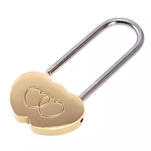 NYKKOLA 3.5" Solid Brass Love Lock Wish Lock Double Heart Padlock Everlasting Love for Lovers Wedding