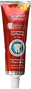 Petrodex Enzymatic Toothpaste Dog Poultry Flavor Family Value, 2 Count